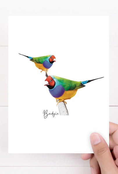 gouldian-finch-card-australiana-gifts-co-front-view_1200x