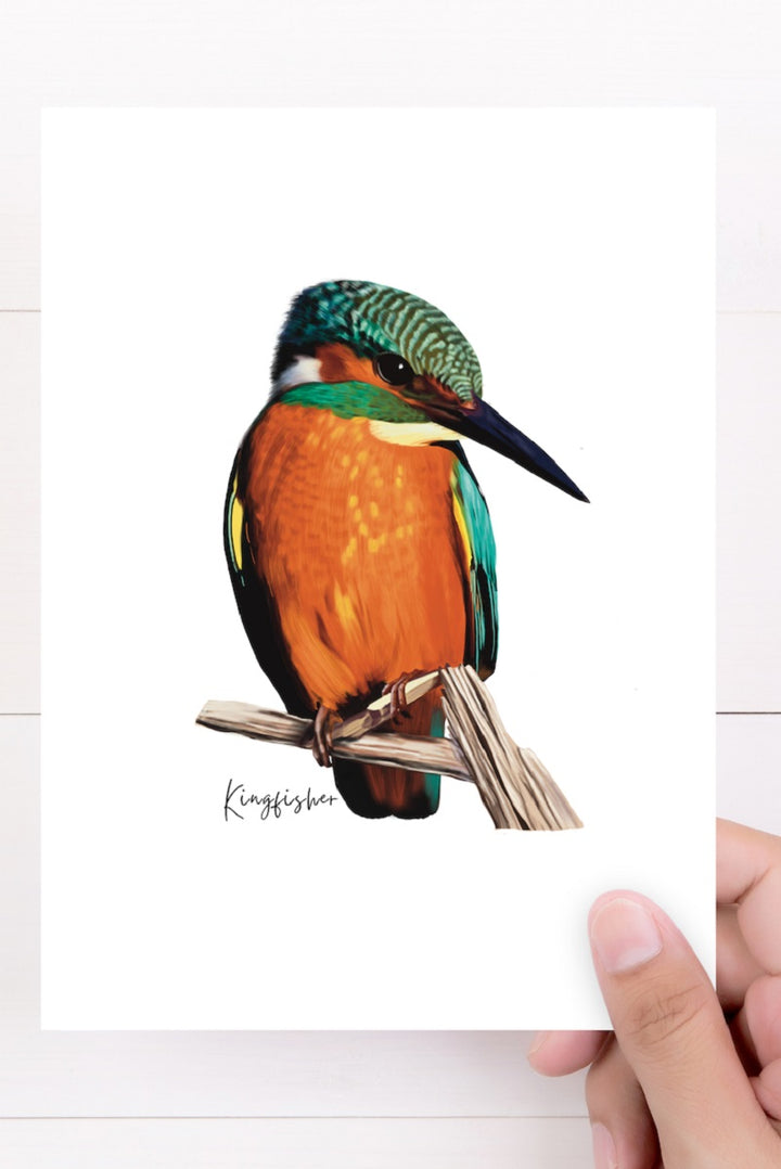 Kingfisher Card AGCC1016 by Australiana Gifts Co.