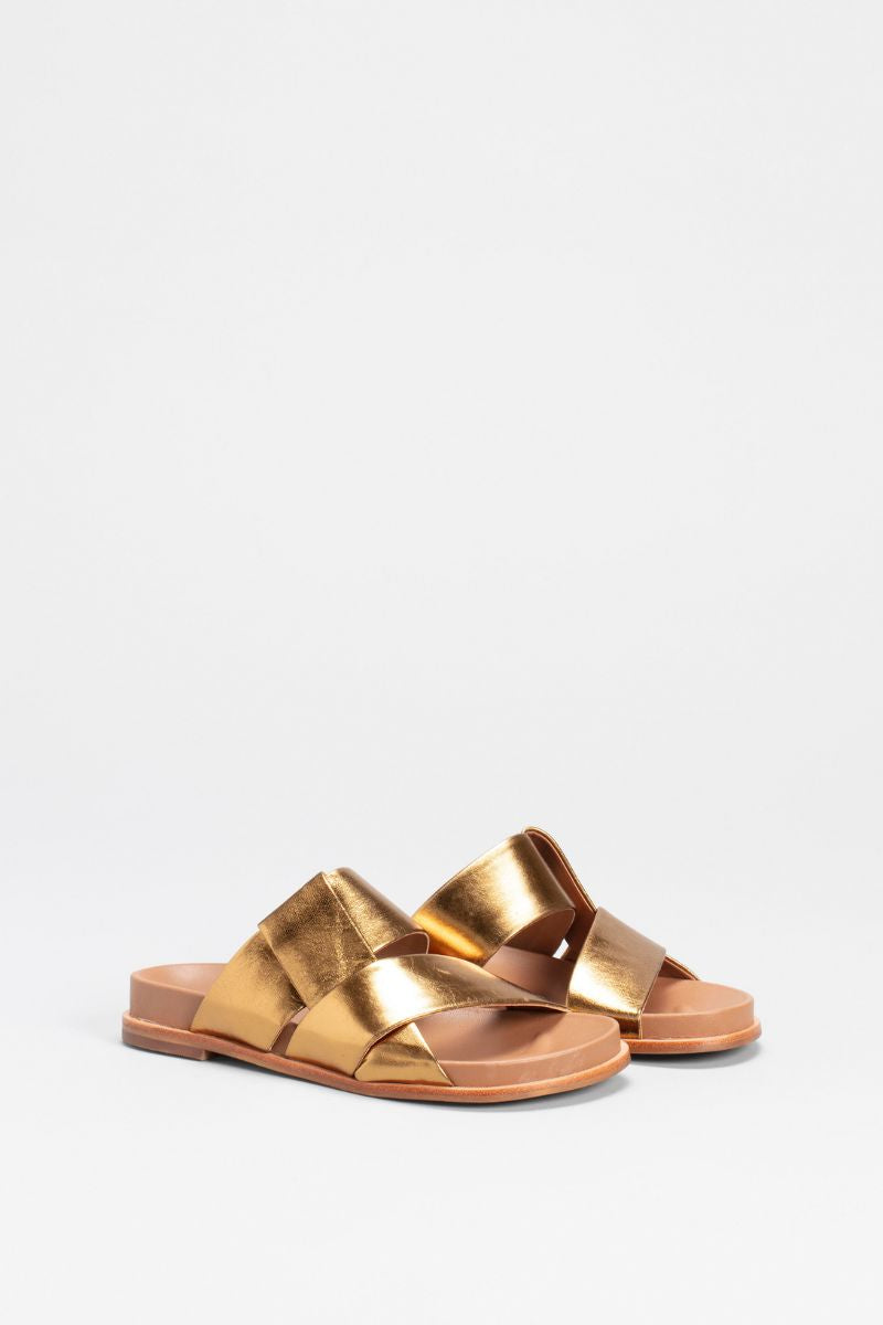 image of gold slides 